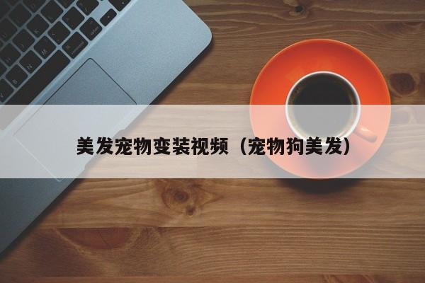 美发宠物变装视频（宠物狗美发）
